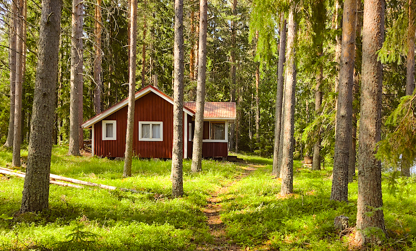 Picture from Eastern Finland. Photo &copy; Jussi T. Eronen