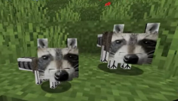 Raccons-620da00ae45f5-png.jpg