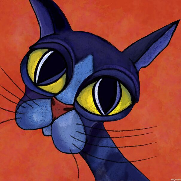 cat-Will-Rafuse-624f1584d0f5b.jpg