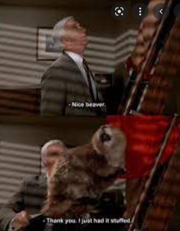beaver-6273fb2eb9dd1.jpg
