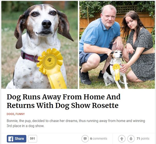 Untitled-62d5d57d9a956.jpg