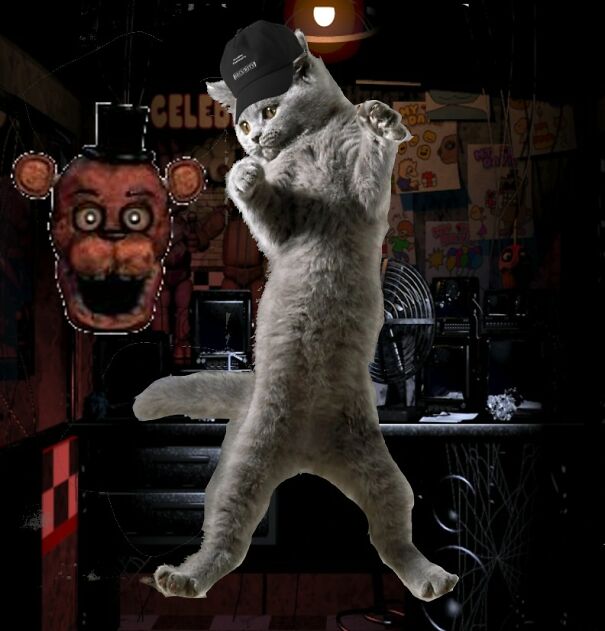 Hey-Pandas-photoshop-this-cat-6207d9dcc91a1-jpeg-63758bdac14f0.jpg