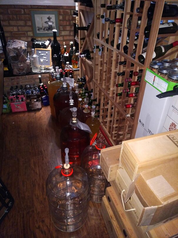 Cellar-640f4e26e179a.jpg