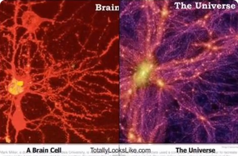 brainuniverse.jpg