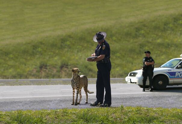 speeding-ticket-65830eeb052b8.jpg