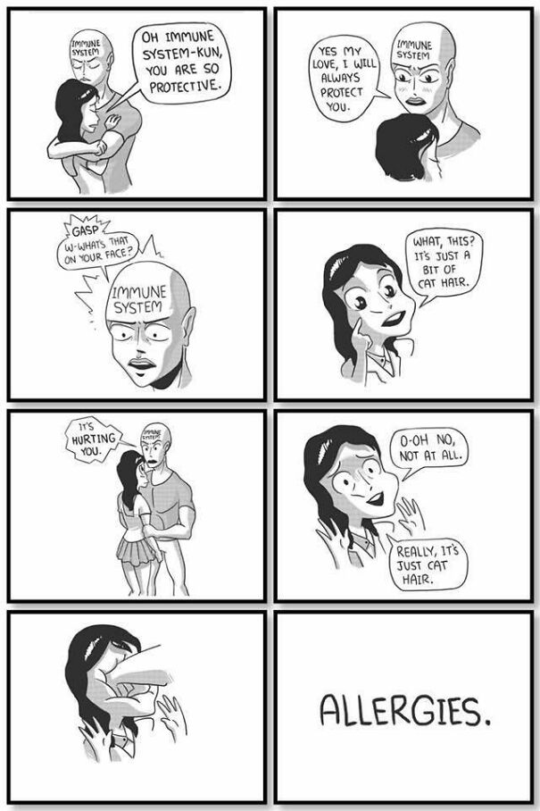 zxwr5x33zwn21-68353726b6c37.jpg