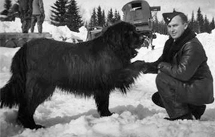 gander2-688d837b657c3.jpg