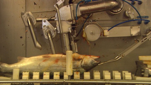 Our Daily Bread film image.