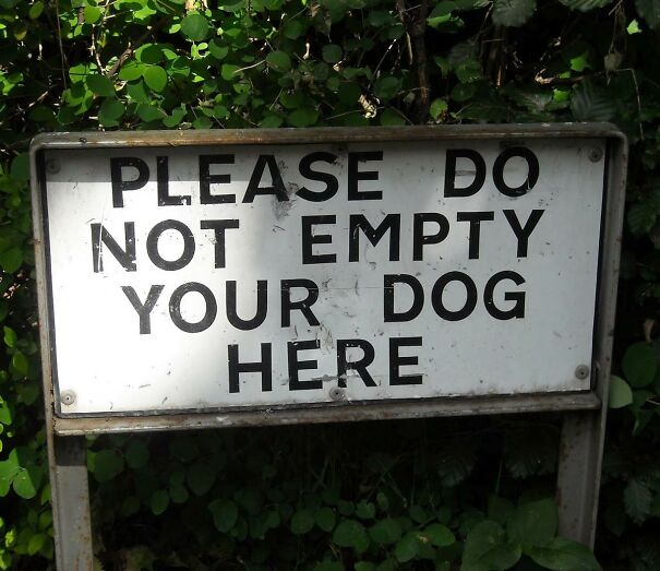 do-not-empty-dog-6289853678c59.jpg