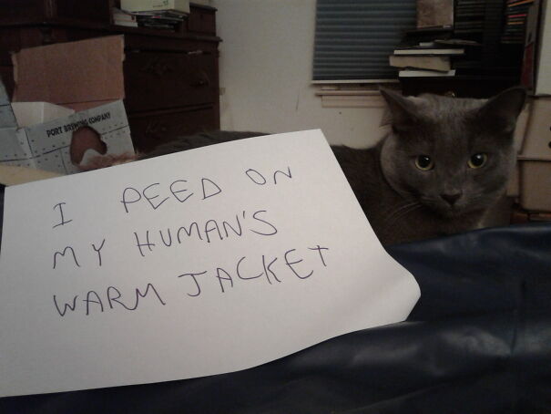 Naughty-Helena-62f9768065ad8.jpg