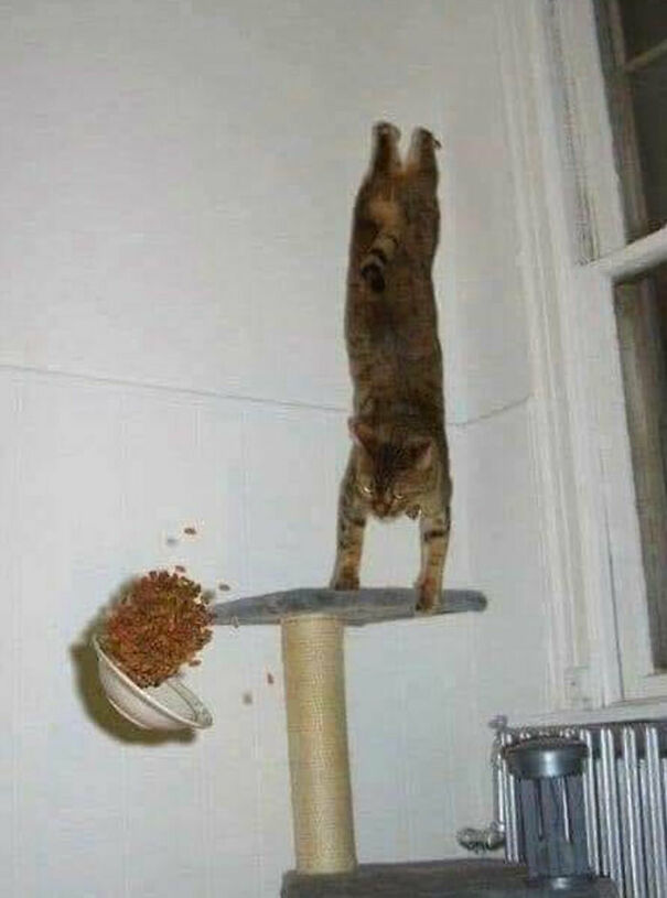 images-with-no-context-63e660778ec5a__700-63fcadc65a3e8-jpeg.jpg