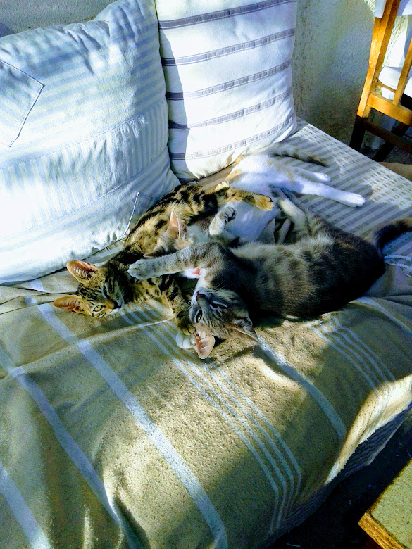 20180823_184614-EFFECTS-640a64ca04f59.jpg