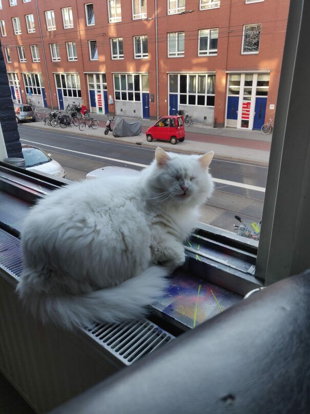 Afbeelding-van-WhatsApp-op-2023-08-03-om-120444-64cc4c253887d.jpg