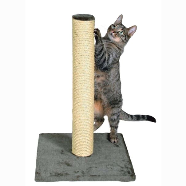 Cat-Scratching-Tree.jpg