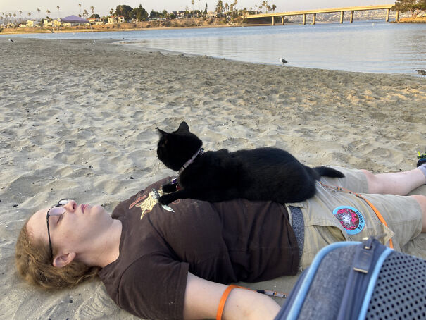 adventure_cat-676c743da13b5.jpg