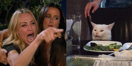 WomanYellingAtACat_meme-1.jpg