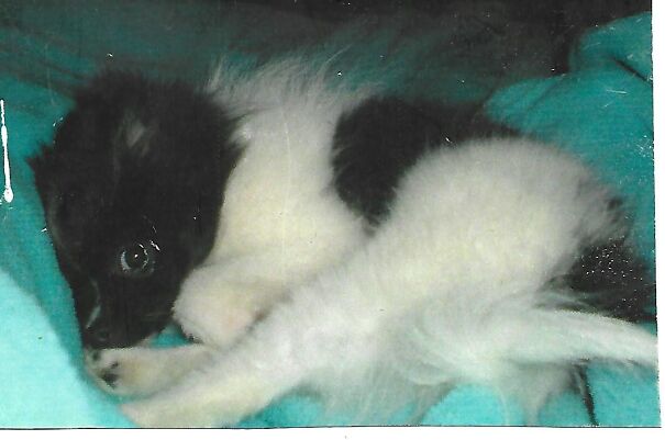 2009-really-my-forever-home-68ff56215113a.jpg